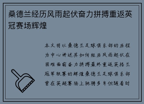 桑德兰经历风雨起伏奋力拼搏重返英冠赛场辉煌