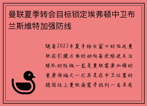 曼联夏季转会目标锁定埃弗顿中卫布兰斯维特加强防线